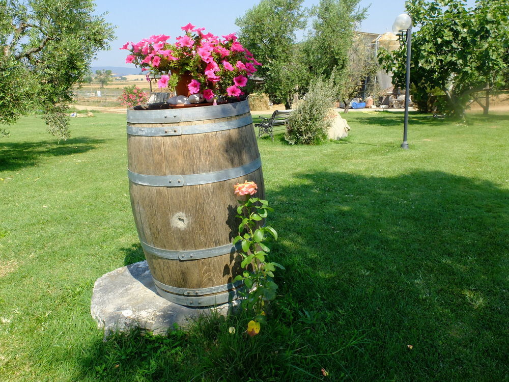 Agriturismo Al Girasole San Donato  Exterior photo
